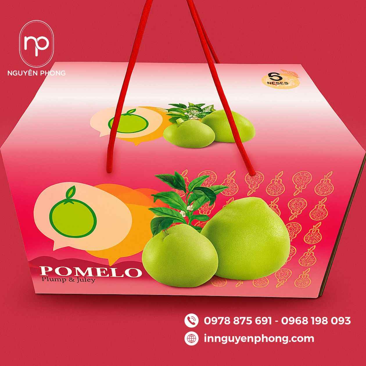 Mẫu in thùng carton đựng bưởi da xanh 